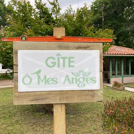 Villa 8 Personnes O Mes Anges Saint-Julien-en-Born Dış mekan fotoğraf