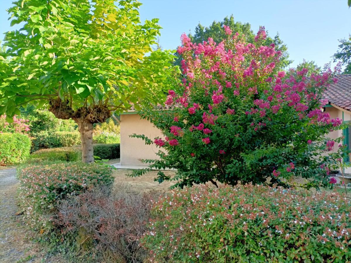 Villa 8 Personnes O Mes Anges Saint-Julien-en-Born Dış mekan fotoğraf